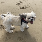 Entry image for Bentley 