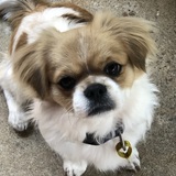 Entry image for Nyma