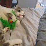 Entry image for Jaeger