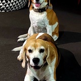 Entry image for Holly & Bohdi