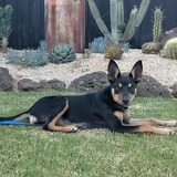 Entry image for Lucy