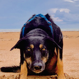 Entry image for Chase