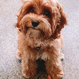 Entry image for Toast