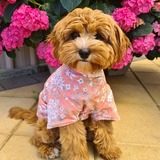 Entry image for Luna