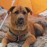 Entry image for Kenai