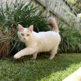 Entry image for Marshall 