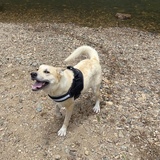 Entry image for Florence 