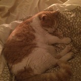 Entry image for Ella