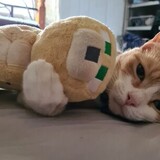 Entry image for Sami