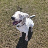 Entry image for Mindy