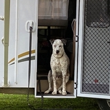 Entry image for Boston