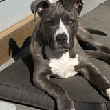 Entry image for Roxy