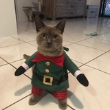 Entry image for Ridley