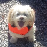 Entry image for Penny