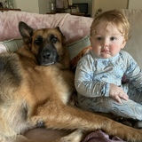 Entry image for Ranger 