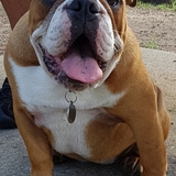 Entry image for Ruby