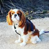 Entry image for Missy