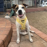 Entry image for Nellie 