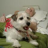 Entry image for Lily