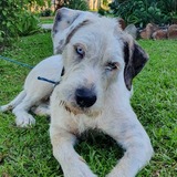 Entry image for Haven