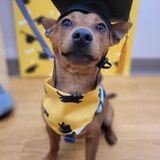 Entry image for Stormy