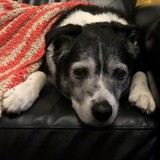 Entry image for Bill