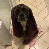 Entry image for Zena