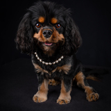 Entry image for Lucy