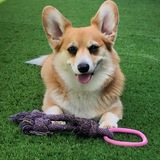 Entry image for Layla