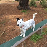 Entry image for Andy 