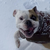 Entry image for Warren