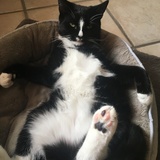 Entry image for Roger