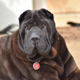 Entry image for Macy