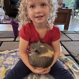 Entry image for Wombat