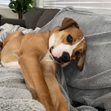 Entry image for Kamari