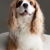 Entry image for Milly