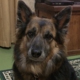 Entry image for April