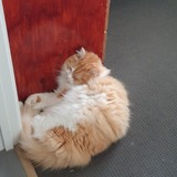 Entry image for Jack