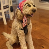 Entry image for Jersey