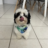 Entry image for Titan 