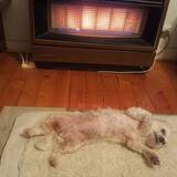 Entry image for Lou Lou 