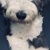 Entry image for Storm