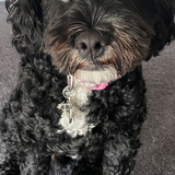 Entry image for Fred