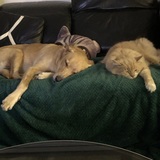 Entry image for Jordan (& Kobe)