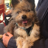 Entry image for Shyly 