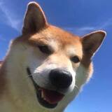 Entry image for Kiko