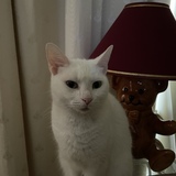 Entry image for Winnie