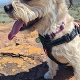 Entry image for Sophie 