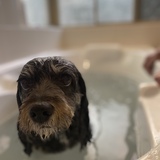 Entry image for Milly