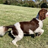 Entry image for Sally